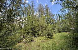 NNA Lot 4 Silver Reef Rd, Sagle, ID 83860