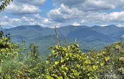 124 Settings Boulevard, Black Mountain, NC 28711