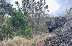 MAHIMAHI DR, Ocean View, HI 96737