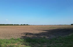 TBD Tract 1, 12Acres County 3060, Bonham, TX 75418