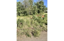 Valley Rd, Hardy, VA 24101