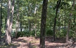 Sylvan Drive, Poplar Bluff, MO 63901