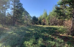 3200 River Mountain Road, Delaware, AR 72835