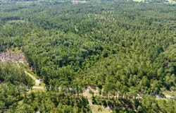 3839 SW Oregon Trail, Greenville, FL 32331
