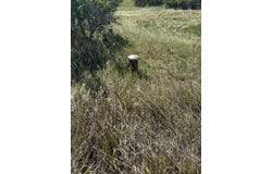 Pine Dr, Rye, CO 81069