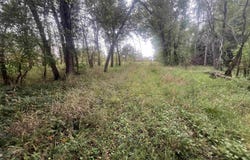 58.4 Acres Highway 33, Portage, WI 53901