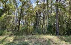 Neilson Road, Columbus, MS 39766