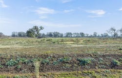 536 Northwest River Rd, Martindale, TX 78655