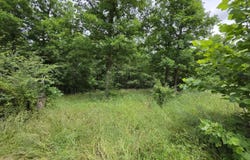 295 Black Oak Road, Mammoth Spring, AR 72554
