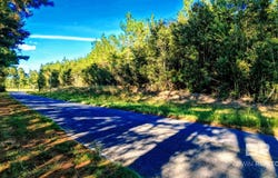 Nathan Jordan Road, Millry, AL 36558