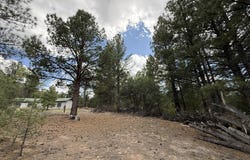 2318 Old Red River Road, Questa, NM 87556