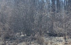 Putnam, IL 61560