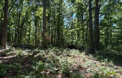 1 Bbq Rd, Dickson, TN 37055