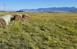 3223 Durston Road, Bozeman, MT 59718