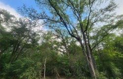 Post Oak Rim Dr, Bastrop, TX 78602