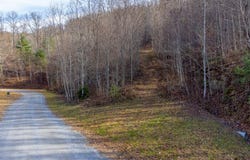 Garnet Ridge Preserve, Sylva, NC 28779