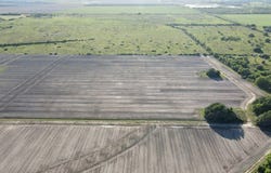CR 343 (Harter Road), Blessing, TX 77419