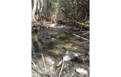 off Harry's Way, Colebrook, NH 03576