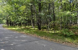 RIVERVIEW DR lot: On, St Germain, WI 54558