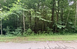 Lot 2 Evergreen Drive, Oneida, TN 37841