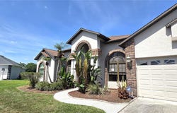 3904 HIDDEN SPRING Place, VALRICO, FL 33596