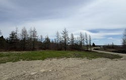 Holmes Bay Farms Road lot: 1, Whiting, ME 04691