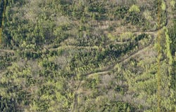 Kennedy Road, Cook, MN 55723