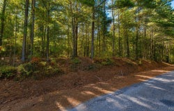 County Road 25, Heflin, AL 36264