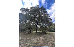 LCR 758, Thornton, TX 76687