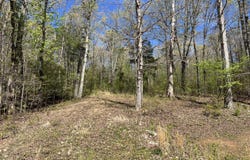 942 Excalibur Trail (Lot 101), Cedar Grove, TN 38321