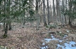 105 Clubhouse Drive, Greentown, PA 18426