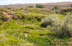 Buck Creek Way lot: 20, Powell, WY 82435