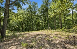 Pete Graham Road, Jasper, TN 37347