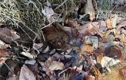 Hwy 327, Deer, AR 72628