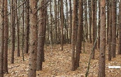 Mapleridge Rd, Bassett, VA 24055