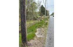 Central Pike, Foster, RI 02825
