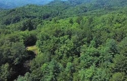 147 Ball Rd, Bryson City, NC 28713
