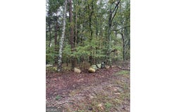 Quartz Court, Jasper, GA 30143
