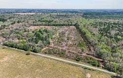 14 +/- Acres County Road 4223, Simms, TX 75574