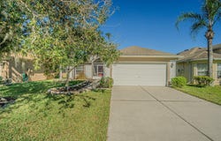 9608 ROLLING Circle, SAN ANTONIO, FL 33576