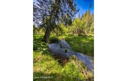 288 Lignite Rd, Sagle, ID 83860
