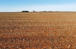 6649 Tiger Road, Ropesville, TX 79358