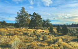 Merrill Road, Brothers, OR 97712