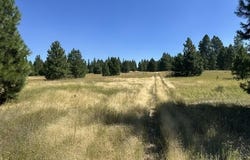 Parcel B Highway 95, Plummer, ID 83851