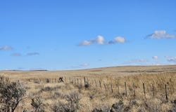 Carey, ID 83320