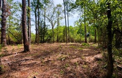 Oak St., Georgetown, SC 29440