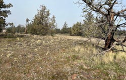 Quartz Road lot: 130, Montague, CA 96064