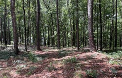 1577 PULLMAN LANE, Greensboro, GA 30642