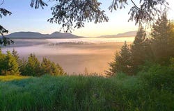 NKA HWY 95, Athol, ID 83801