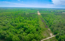 Sand Plant Rd., Nichols, SC 29581